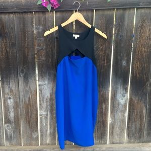 Urban Outfitters Blue and Black Shift Dress